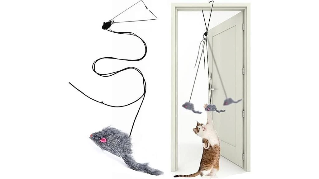 detailed review of cat feather toys